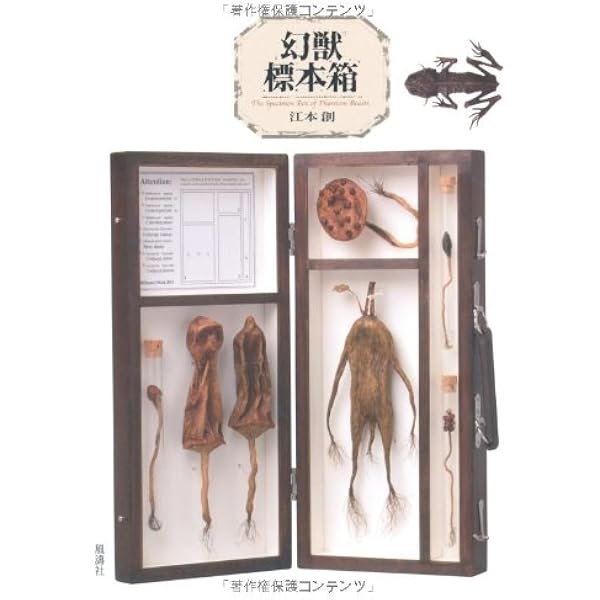 幻獸標本採集誌 | 江本 創 |本 | 通販 | Amazon